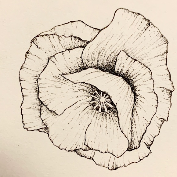 Meet your Posher, Kate - Picture 13 of 13